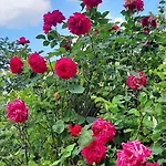 Chez Vovone 3 Etoiles Clevacances Prázdninový dům Saulxures-sur-Moselotte