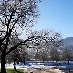 Chez Vovone 3 Etoiles Clevacances Saulxures-sur-Moselotte