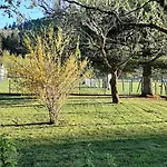 Chez Vovone 3 Etoiles Clevacances Prázdninový dům