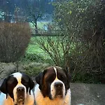 Chez Vovone 3 Etoiles Clevacances