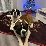 Chez Vovone 3 Etoiles Clevacances Prázdninový dům Saulxures-sur-Moselotte