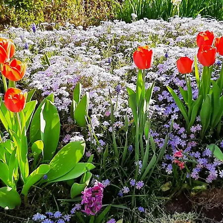 Chez Vovone 3 Etoiles Clevacances