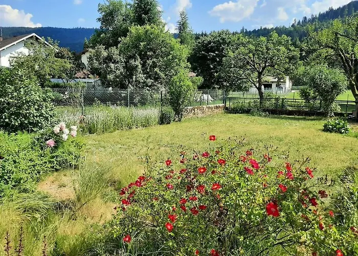 Ferienhaus Chez Vovone 3 Etoiles Clevacances *