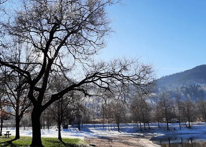 Chez Vovone 3 Etoiles Clevacances Saulxures-sur-Moselotte