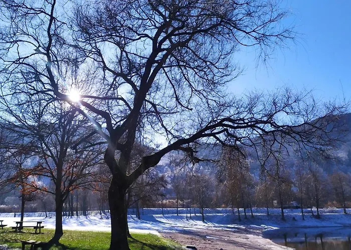 Ferienhaus Chez Vovone 3 Etoiles Clevacances *