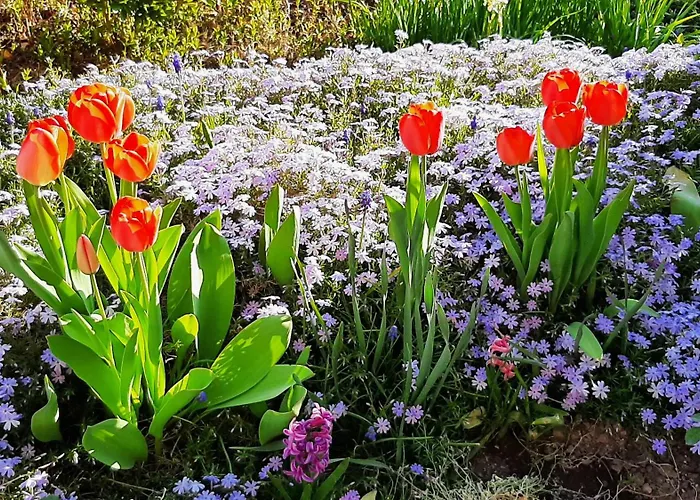 Chez Vovone 3 étoiles Clévacances