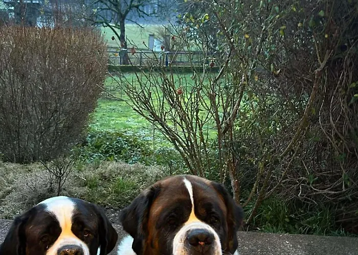 Chez Vovone 3 Etoiles Clevacances